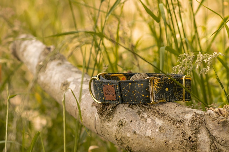 May include: A black and gold dog collar with a celestial pattern and gold hardware. The collar has a brown leather tag with the text "The Glamorous" on it.