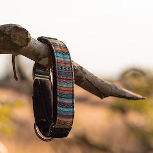 May include: A colorful patterned dog collar with a black fabric backing and silver metal hardware hanging from a tree branch.