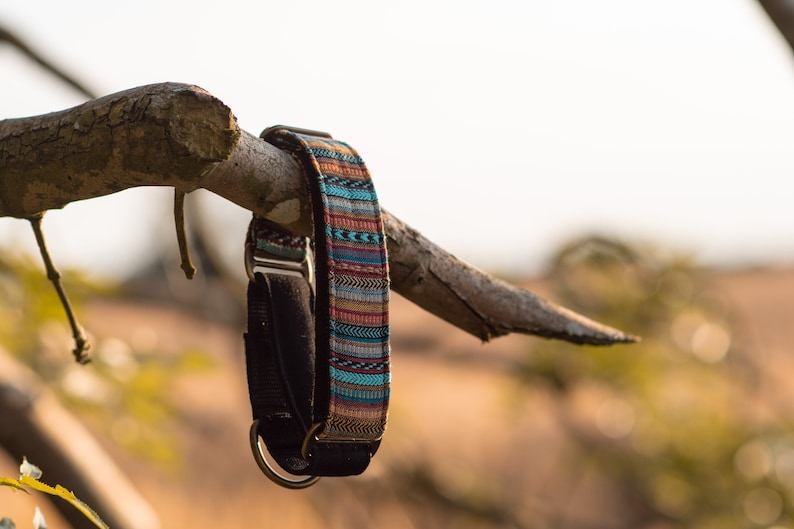 May include: A colorful patterned dog collar with a black fabric backing and silver metal hardware hanging from a tree branch.