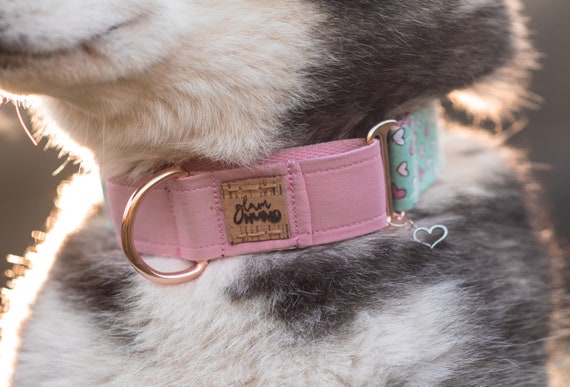 Best Friends Dog Collar Cute Heart Pet Collar Matching Martingale Collar for Dogs amor Etsy