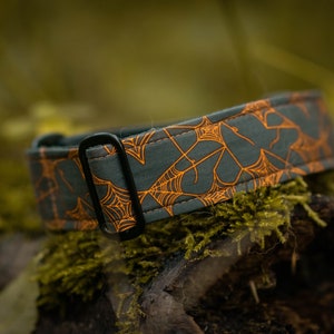 Gothic Dog Collar | Halloween Pet Collar | Spider Martingale Collar for Dogs | &quot;ARACHNE&quot;