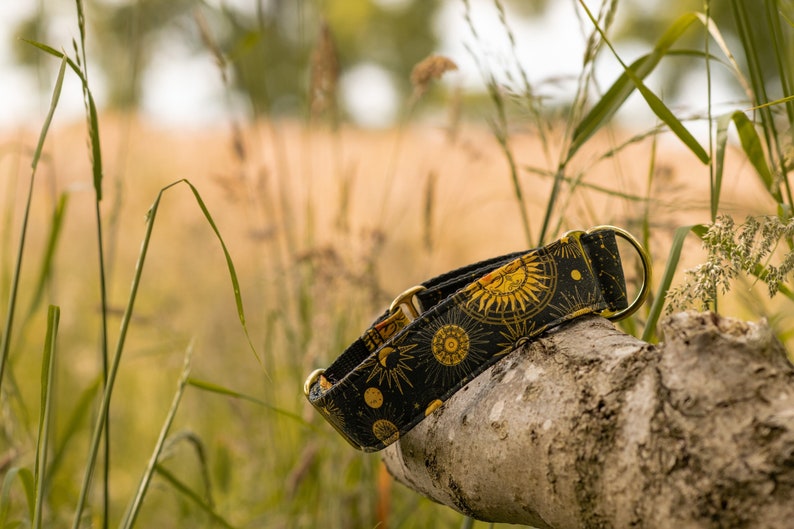 May include: A black and gold dog collar with a celestial pattern featuring suns and moons. The collar is made of fabric and has a gold metal buckle.