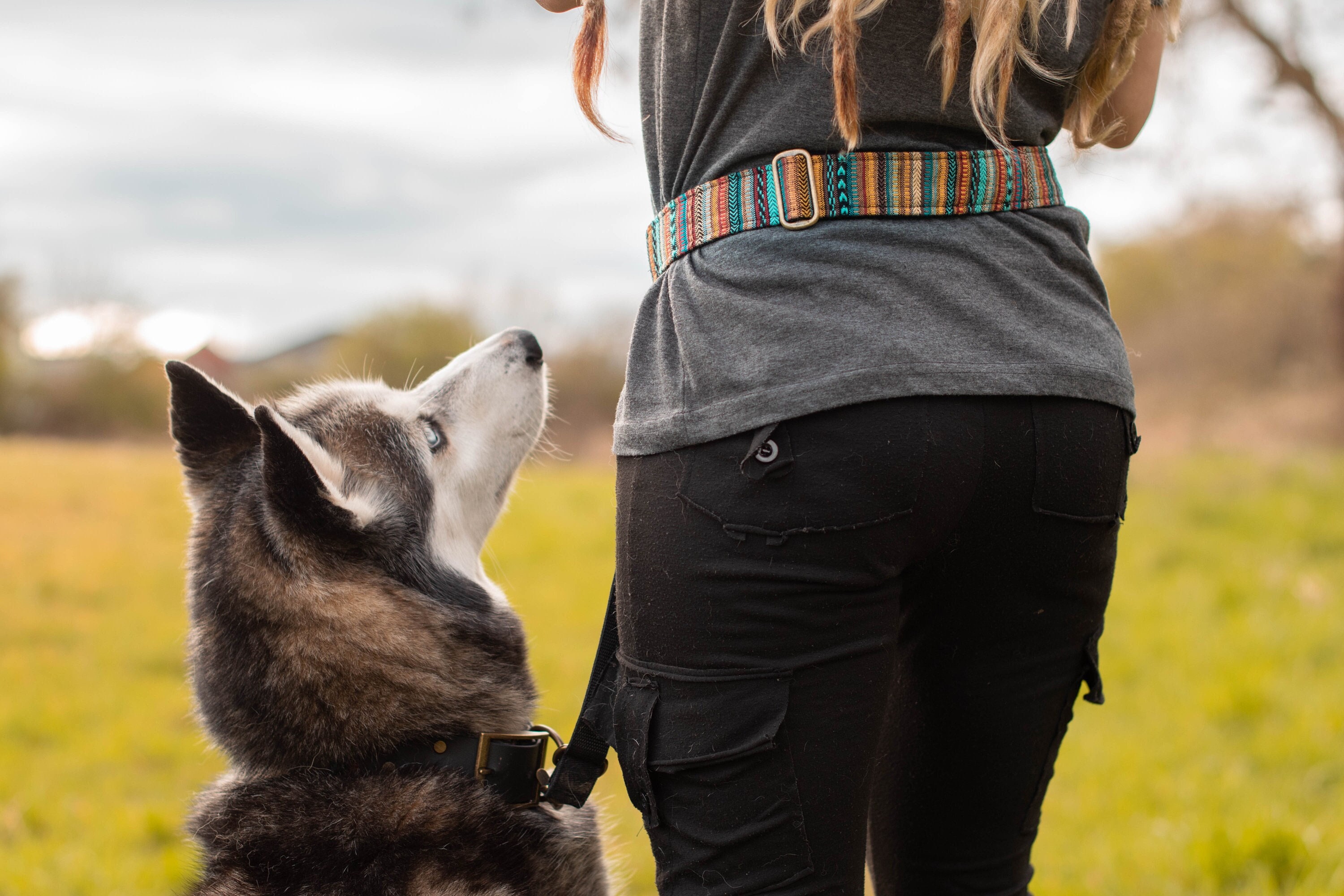 Hands-free Dog Walking Belt: Size Adjustable Fabric  display picture 2