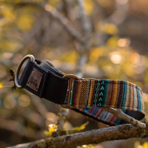 May include: A black and multi-colored dog collar with a brass buckle and a brown leather patch with the word "Wander" on it.