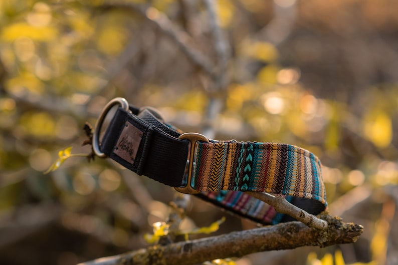 May include: A black and multi-colored dog collar with a brass buckle and a brown leather patch with the word "Wander" on it.