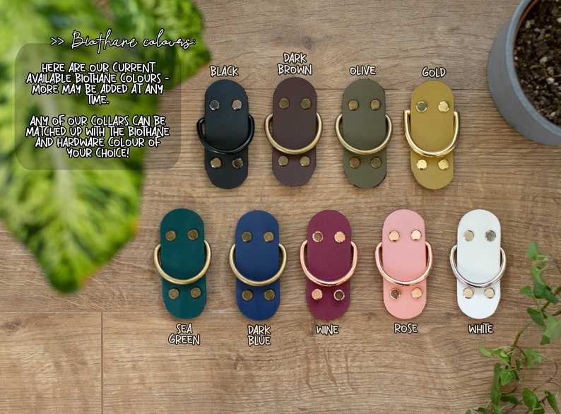 Floral Slip Collar Autumn Dog Collar Biothane Slip for Dogs jora Etsy UK