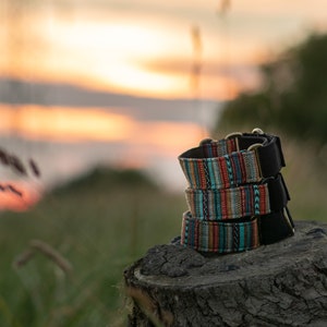 May include: A stack of colorful dog collars with a woven pattern, featuring a black base and gold hardware. The collars are sitting on a tree stump against a blurred background of a sunset.