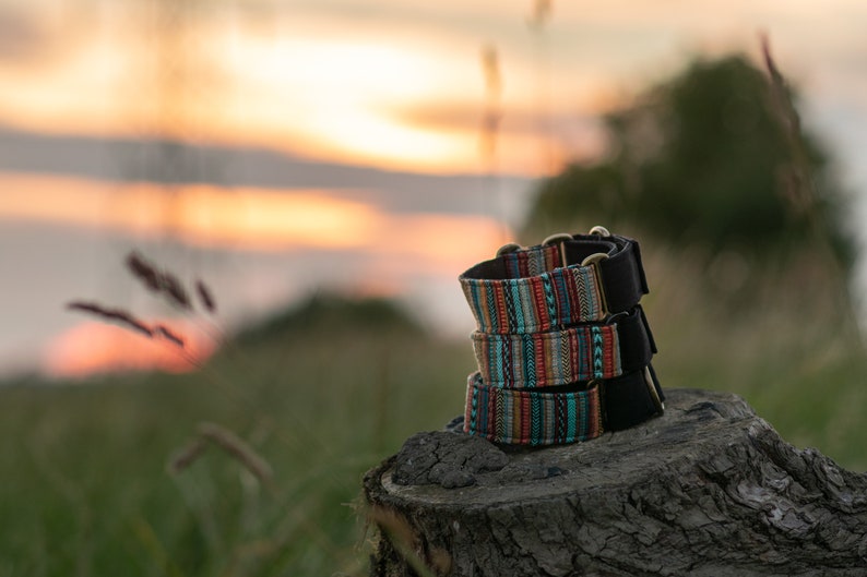 May include: A stack of colorful dog collars with a woven pattern, featuring a black base and gold hardware. The collars are sitting on a tree stump against a blurred background of a sunset.
