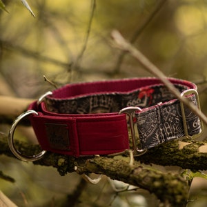 Gothic Dog Collar | Witchy Pet Collar | Satantic Wide Martingale Collar for Dogs | &quot;SALEM&quot;