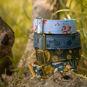 May include: Four colorful dog collars stacked on top of each other. The collars are made of fabric and have different patterns, including floral, celestial, and geometric designs. The collars are secured with gold metal buckles.