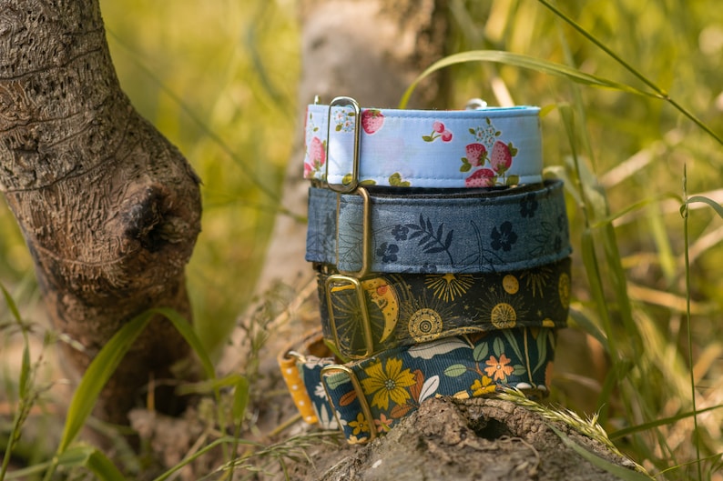 May include: Four colorful dog collars stacked on top of each other. The collars are made of fabric and have different patterns, including floral, celestial, and geometric designs. The collars are secured with gold metal buckles.