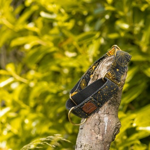 May include: A black and gold dog collar with a celestial pattern. The collar is made of a sturdy fabric and has a metal buckle.