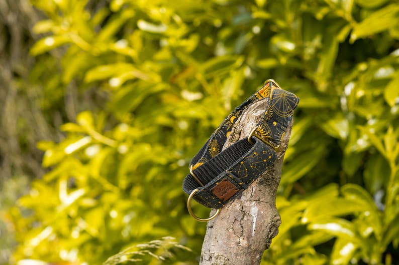 May include: A black and gold dog collar with a celestial pattern. The collar is made of a sturdy fabric and has a metal buckle.