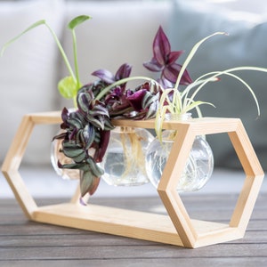 May include: A wooden hexagonal stand with three glass bulbs containing plants. The stand is made of light wood and has a natural finish. The bulbs are clear glass and contain water and plant roots. The plants are green and purple.