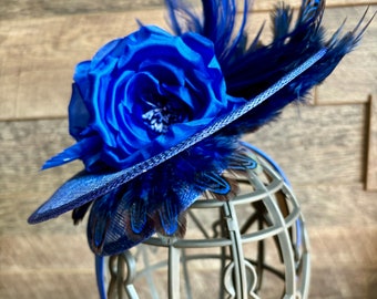 Royal blue feather scoop