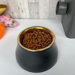 Gold Rim Pet Bowl Gold Dog Bowls