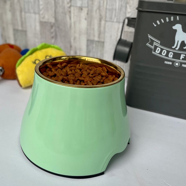 Elevated Raised Dog Pet Bowl Mint Green Gold Stainless Steel