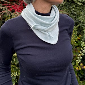 May include: A light blue scarf is draped around the neck. The scarf is triangular in shape and made of a soft material. The person is wearing a navy blue long-sleeve shirt. The background features green foliage and red berries.