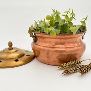 Puede incluir: Una olla de cobre con asas de latón y una tapa de latón con agujeros. La olla está llena de plantas verdes y la tapa está sentada a su lado. Hay dos tallos de trigo secos en la superficie blanca.