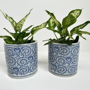 Antique Pair of Blue and White Ceramic Planters – Oriental Flower Pots – Floral Design