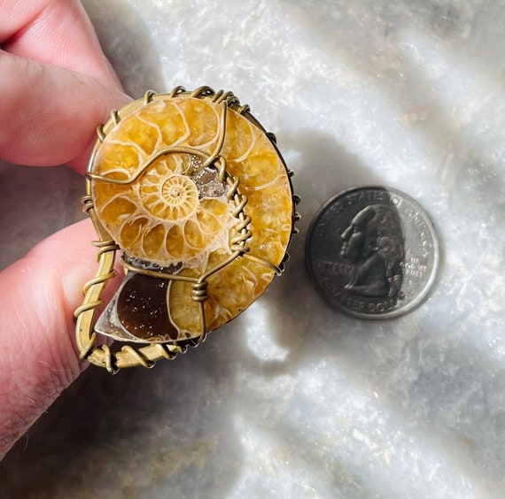 Antique Ammonite Ring - image 3