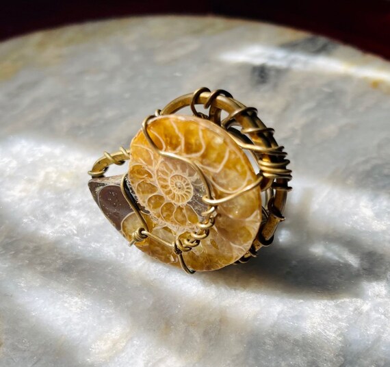 Antique Ammonite Ring - image 1