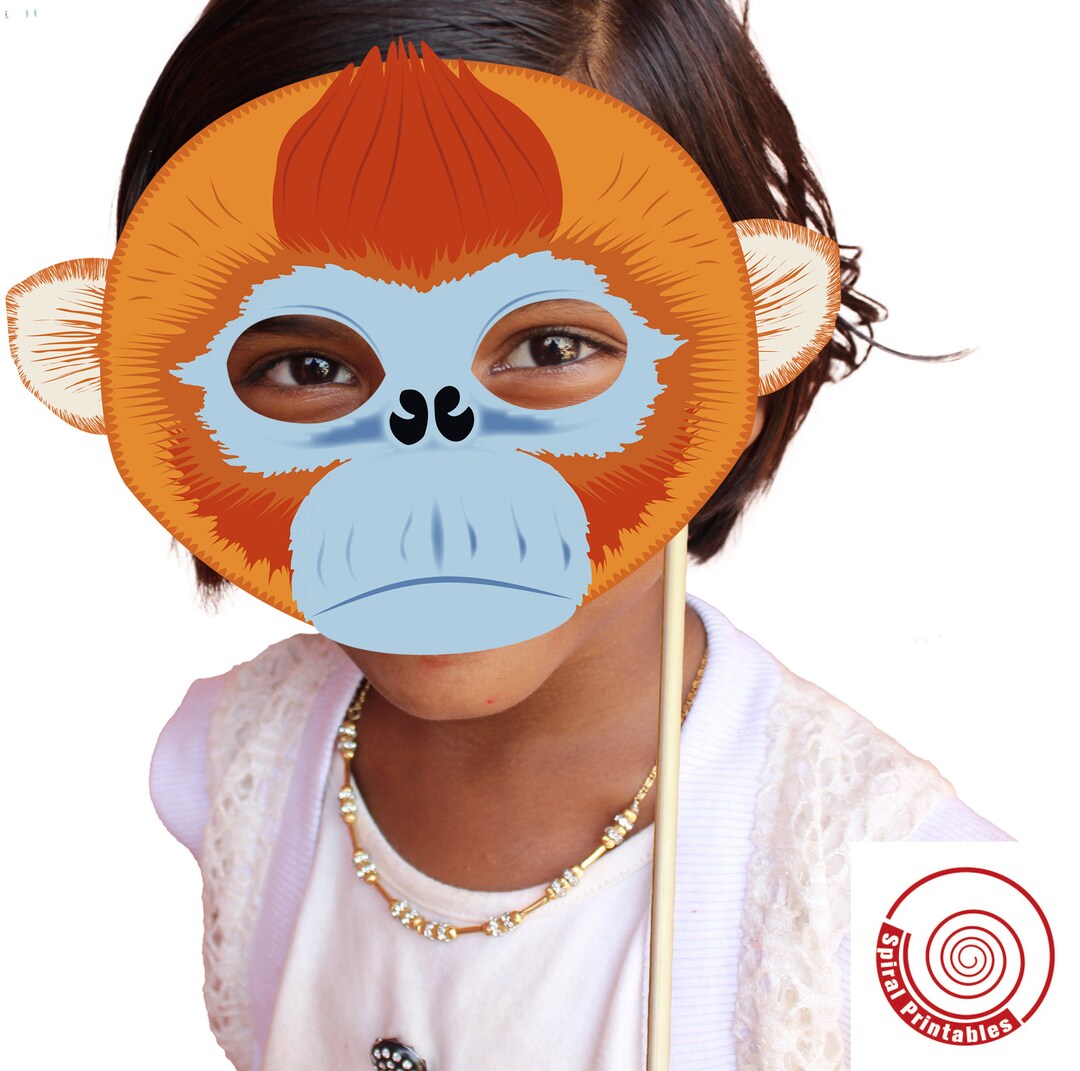 Masque Singe
