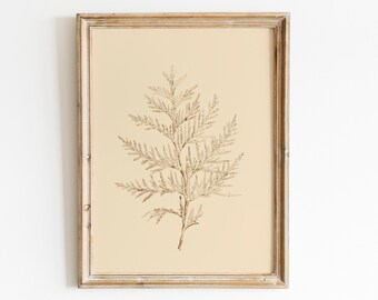 Red Botanical Art,Vintage Botanical Drawing,Neutral Sketch Art PRINTABLE,Minimalist Flower Prints,Leaf Art Print,Botanical Etching Print