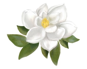 Aquarelle Magnolia Peinture Fleur Impression