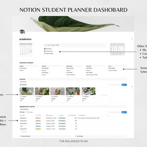 Student Notion Planner by The Balanced Plan | Academic Student Digital Planner, College Planner, Assignment Tracker, School Planner image 3