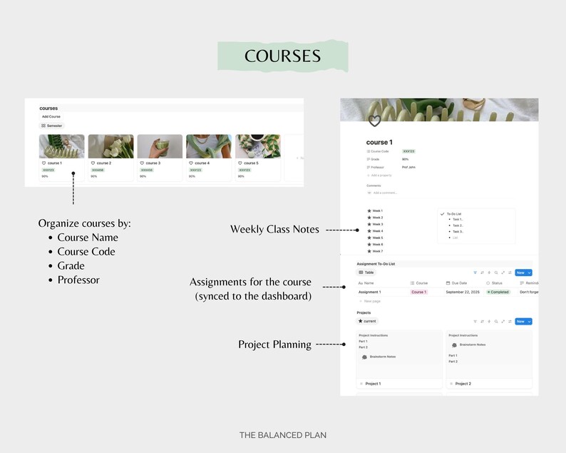 Student Notion Planner by The Balanced Plan | Academic Student Digital Planner, College Planner, Assignment Tracker, School Planner image 5