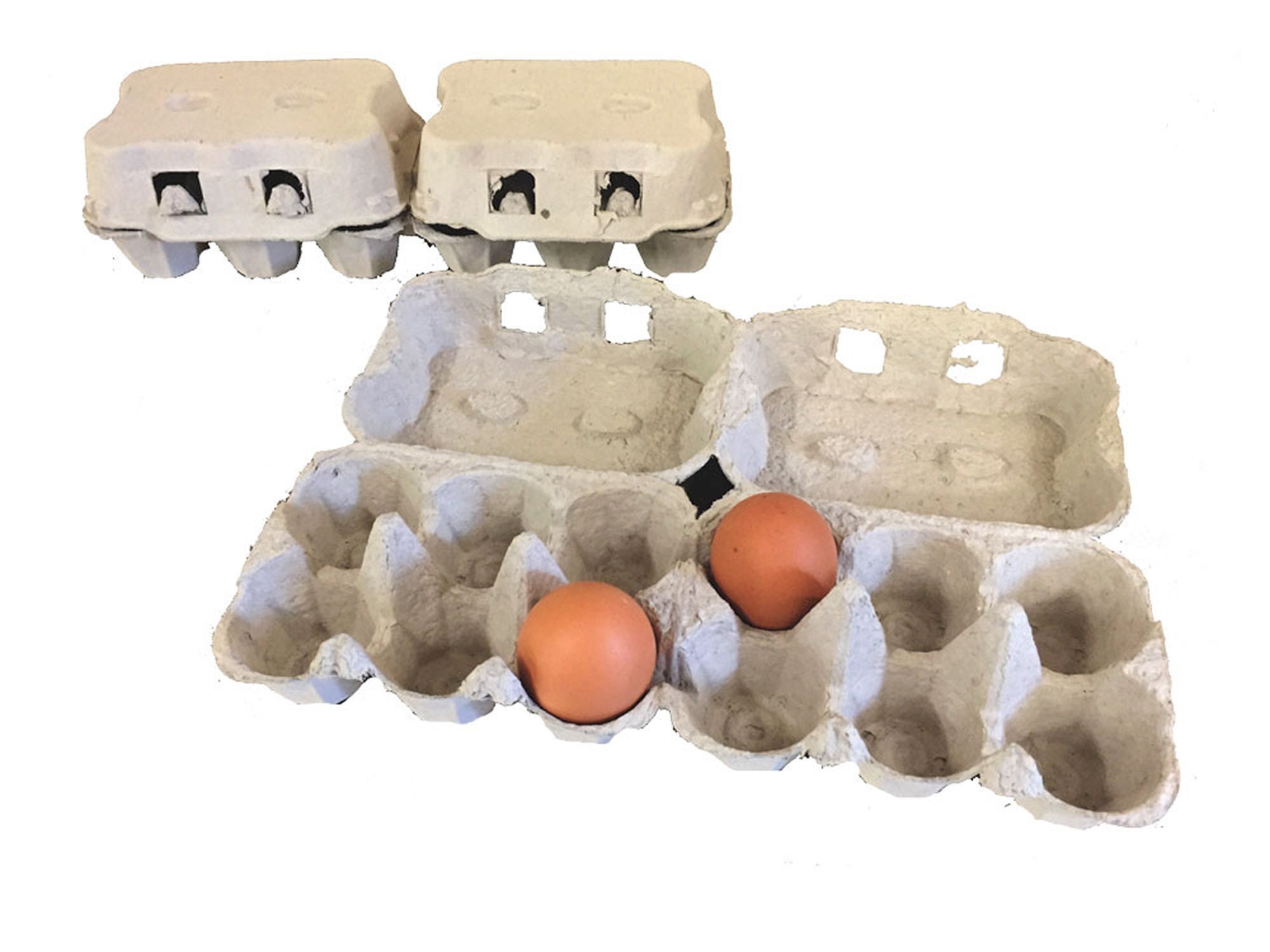 MT Products Blank Natural Pulp Egg Cartons Bulk Holds Up to Twelve Eggs - 1  Dozen - Strong Sturdy Egg Crate Cardboard Material Perfect For Storing