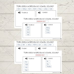 Vowel Sounds- Matching Words to the Correct Vowel Digital Download
