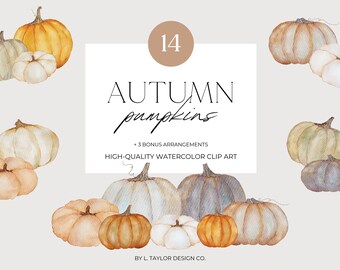 Clip Art Watercolor Pumpkins Fall Pumpkin Arrangements Baby Shower Clipart Thanksgiving Clip-Art Halloween Watercolor Clipart Illustrations