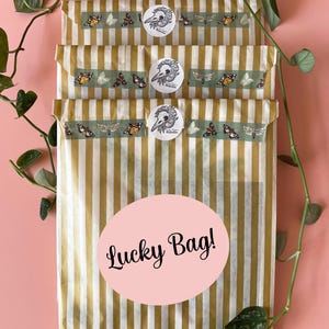 Mystery Lucky Bag | Art Prints, Stickers, Bookmarks and More | Limited Edition Surprise Bundle