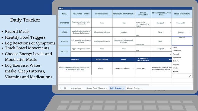 May include: A digital daily tracker displayed on a laptop screen. The tracker includes sections to record meals, food triggers, reactions, bowel movements, energy levels, and mood. The text "Daily Tracker" is at the top.