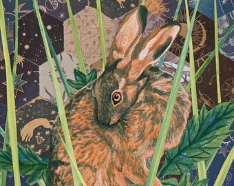 Stampa Giclée di Coniglietto Celeste - Edizione Limitata di Arte Faunistica
