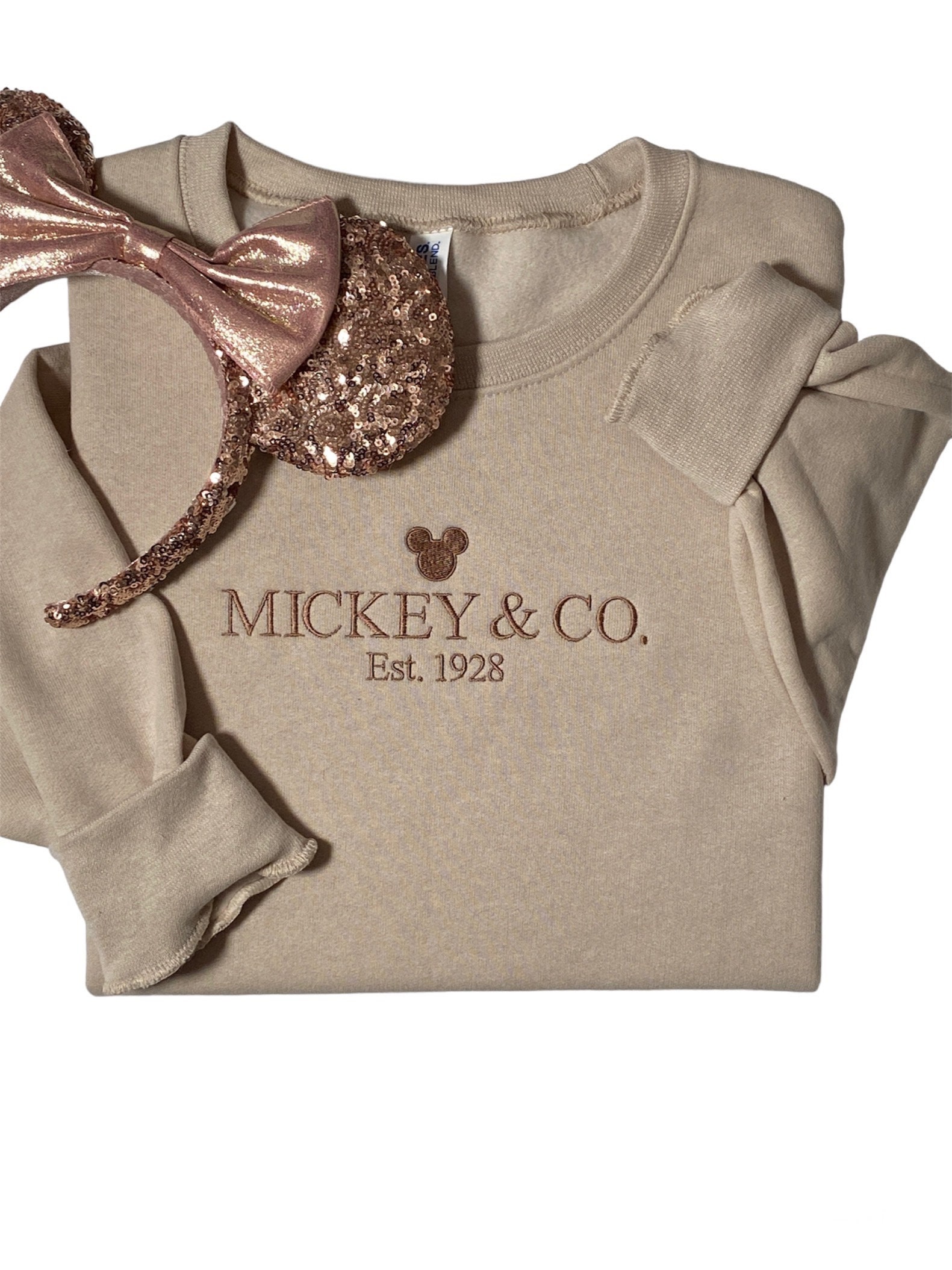 Discover Disney inspired Embroidered Sweatshirt