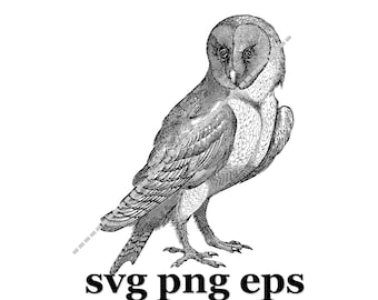 Hand Drawn Owl SVG PNG EPS