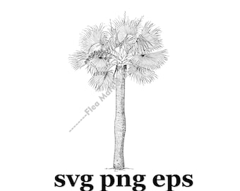 Palm Tree SVG PNG EPS Clipart