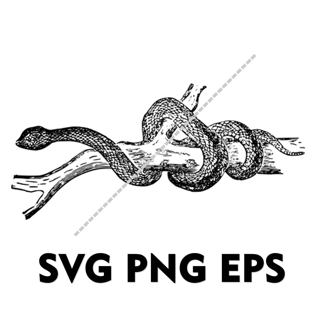 Snake SVG PNG EPS - Etsy