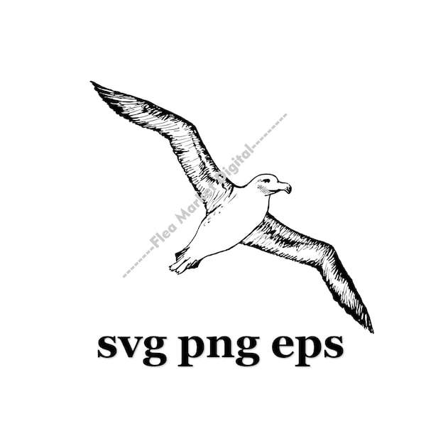 Sea Bird Albatross SVG PNG EPS Clipart # 1