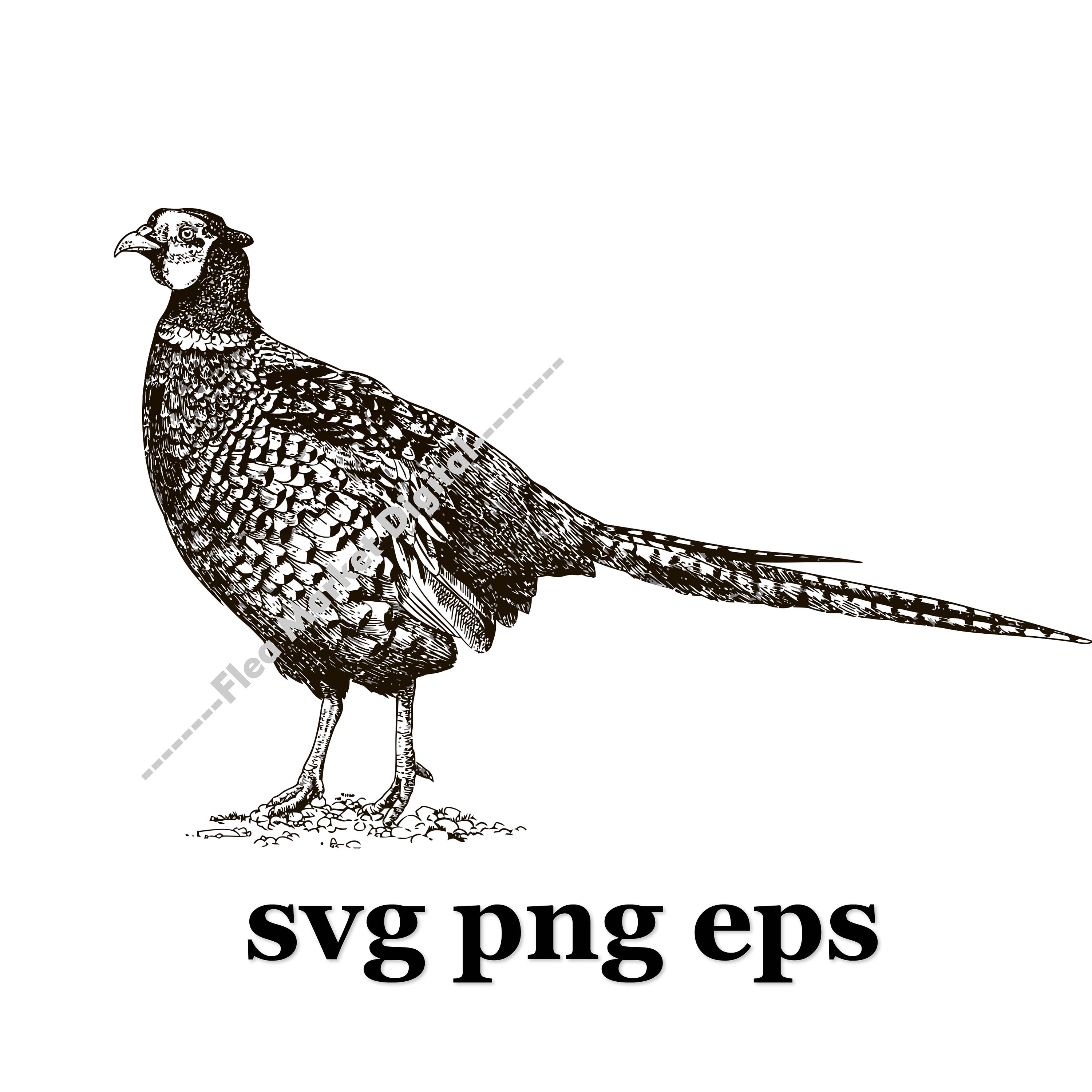 Pheasant SVG PNG EPS Clipart Logo 3 Etsy