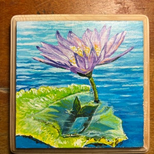 Water Lily