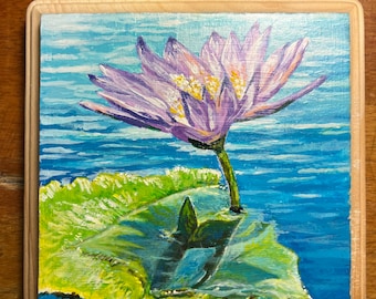 Water Lily