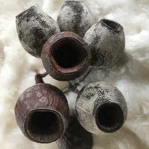 50 Large Gum Nuts | 500g Sustainably Sourced Australian Gumnuts | Natural Craft and Play