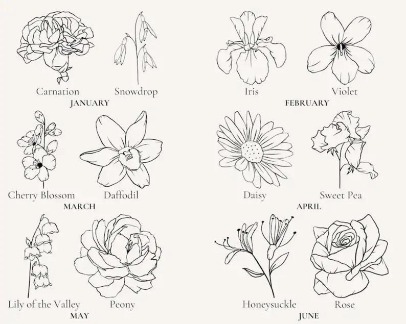 May include: A black and white line drawing illustration of flowers representing each month of the year. January: Carnation, February: Iris and Violet, March: Cherry Blossom and Daffodil, April: Daisy and Sweet Pea, May: Lily of the Valley and Peony, June: Honeysuckle and Rose.