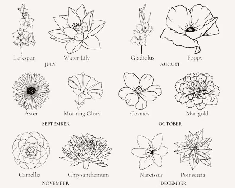 May include: A black and white illustration of a flower calendar. Each month is represented by a different flower. The months are July, August, September, October, November, and December.