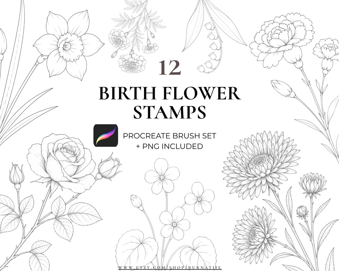 Procreate Birth Month Flowers | Fine Line Tattoo Floral Set | 12 Birth ...