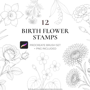 Puede incluir: Un conjunto de 12 sellos de flores de nacimiento para Procreate, con archivos PNG incluidos. La imagen presenta dibujos lineales detallados en blanco y negro de varias flores, como narcisos, rosas y margaritas. El texto dice 'Birth Flower Stamps'.